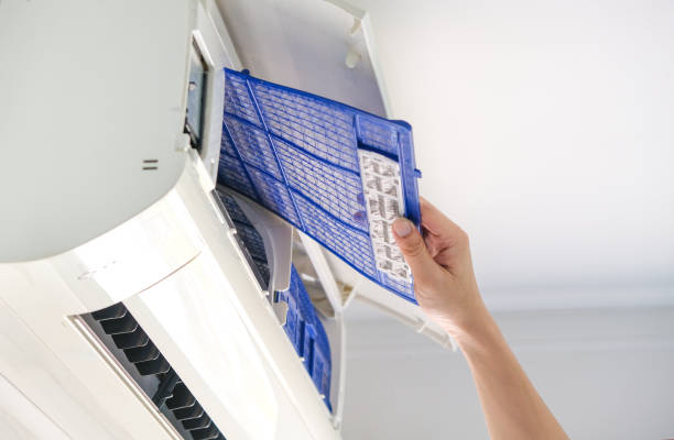 Best Air Duct Sanitizing Services  in Hamlet, NC