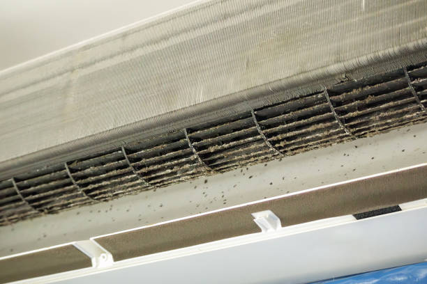 Best Home Air Vent Cleaning  in Hamlet, NC